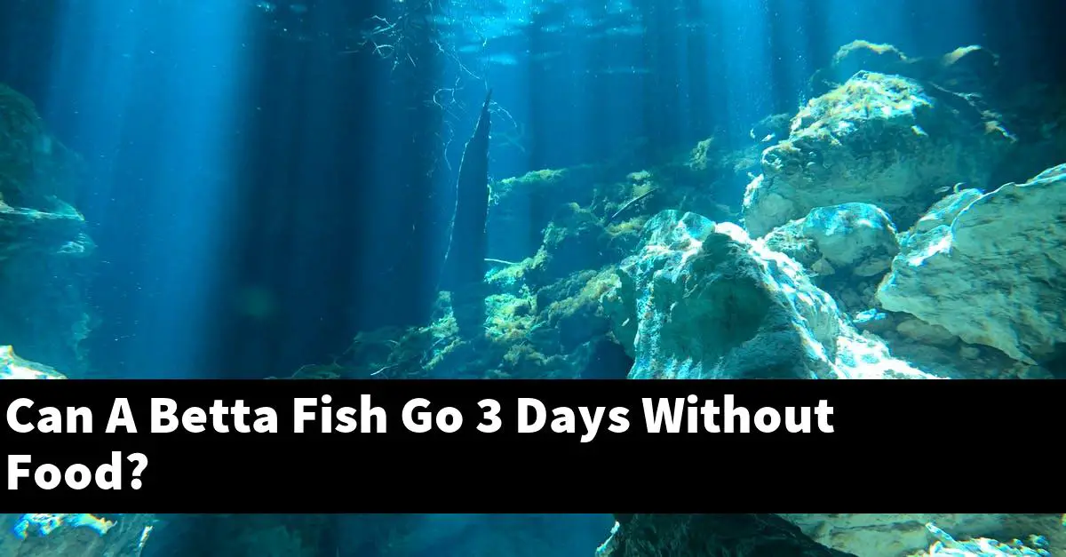 Can A Betta Fish Go 3 Days Without Food?