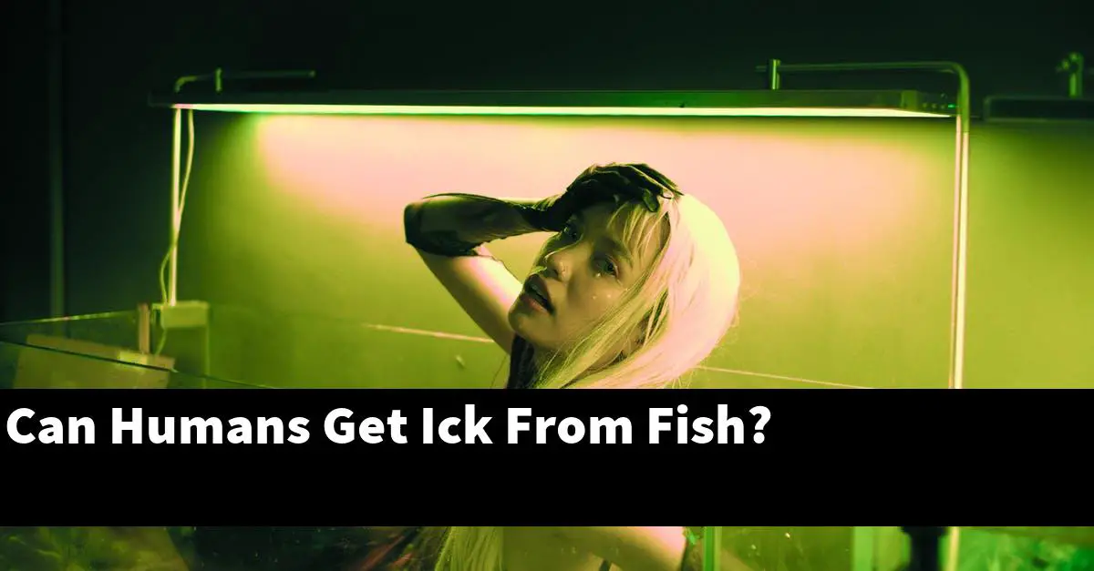 Can Humans Get Ick From Fish?
