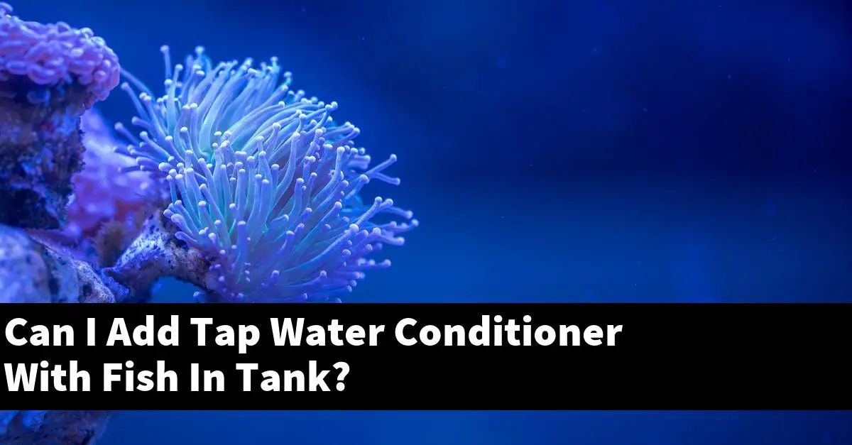 Can I Add Tap Water Conditioner With Fish In Tank?