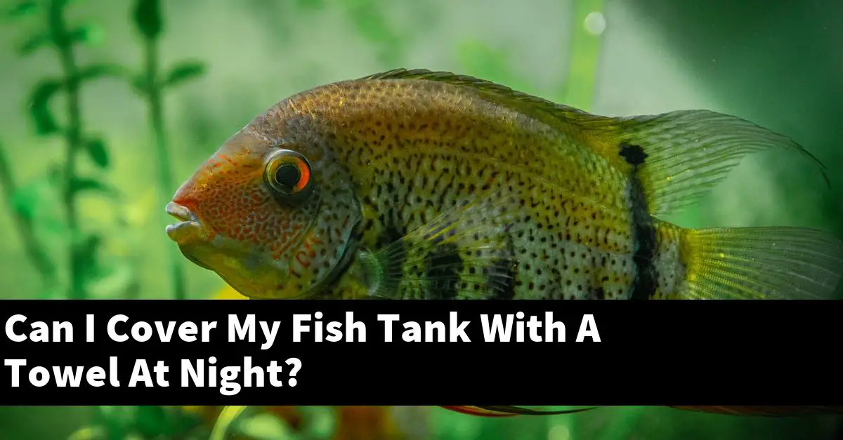Can I Cover My Fish Tank With A Towel At Night?