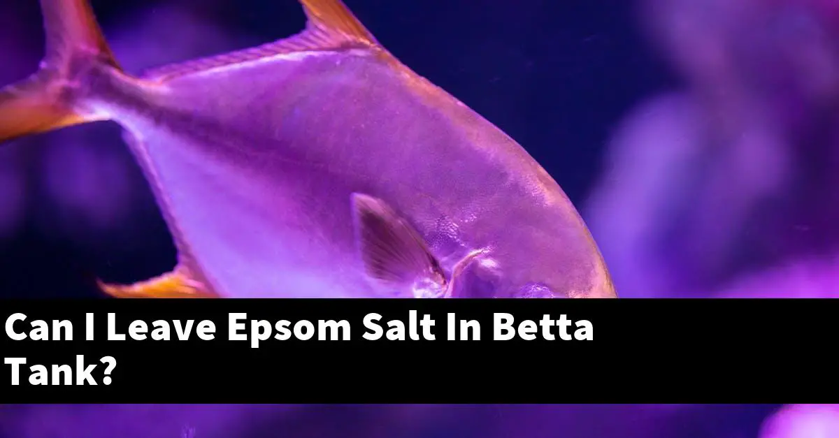 Can I Leave Epsom Salt In Betta Tank?