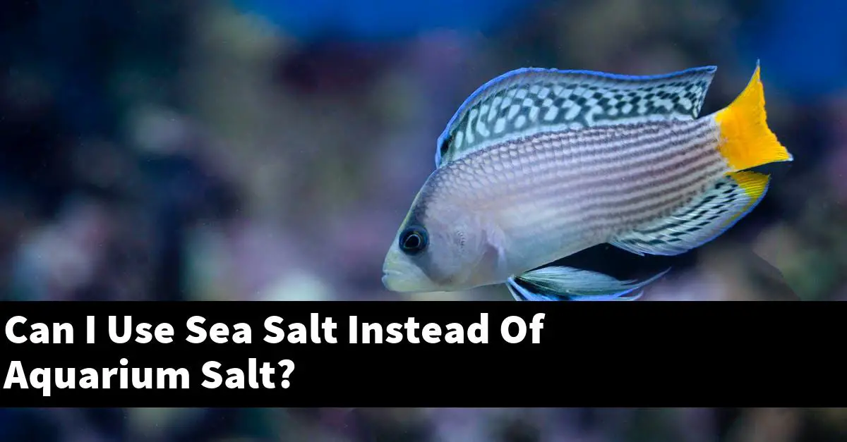 Can I Use Sea Salt Instead Of Aquarium Salt?