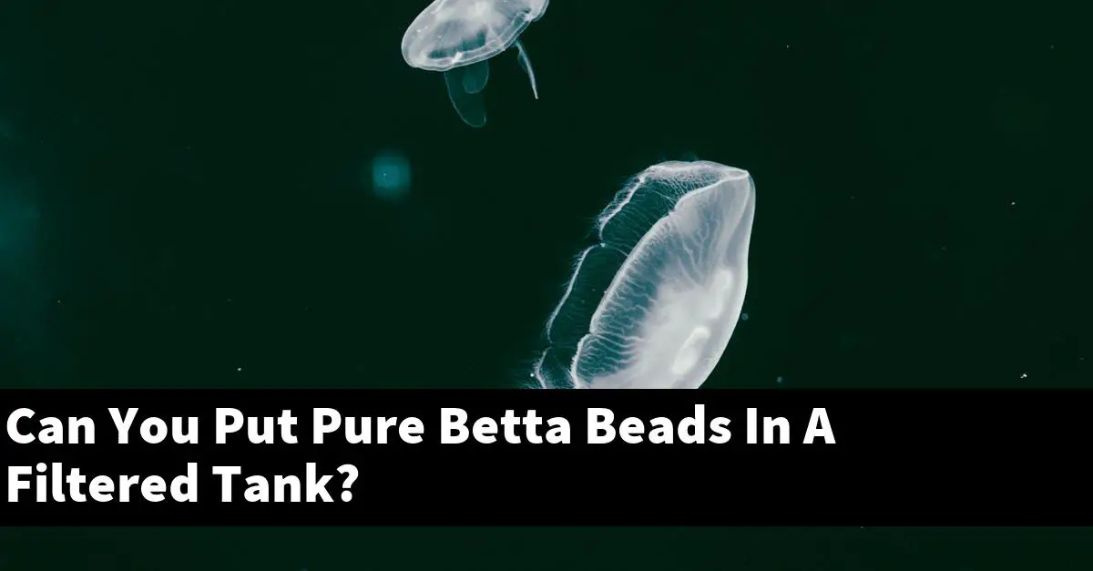 Can You Put Pure Betta Beads In A Filtered Tank?