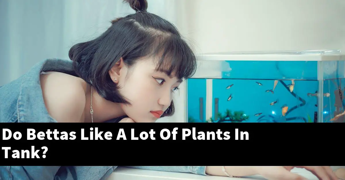 Do Bettas Like A Lot Of Plants In Tank?