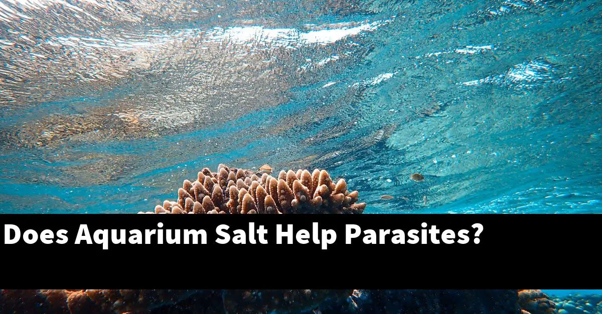 Does Aquarium Salt Help Parasites?
