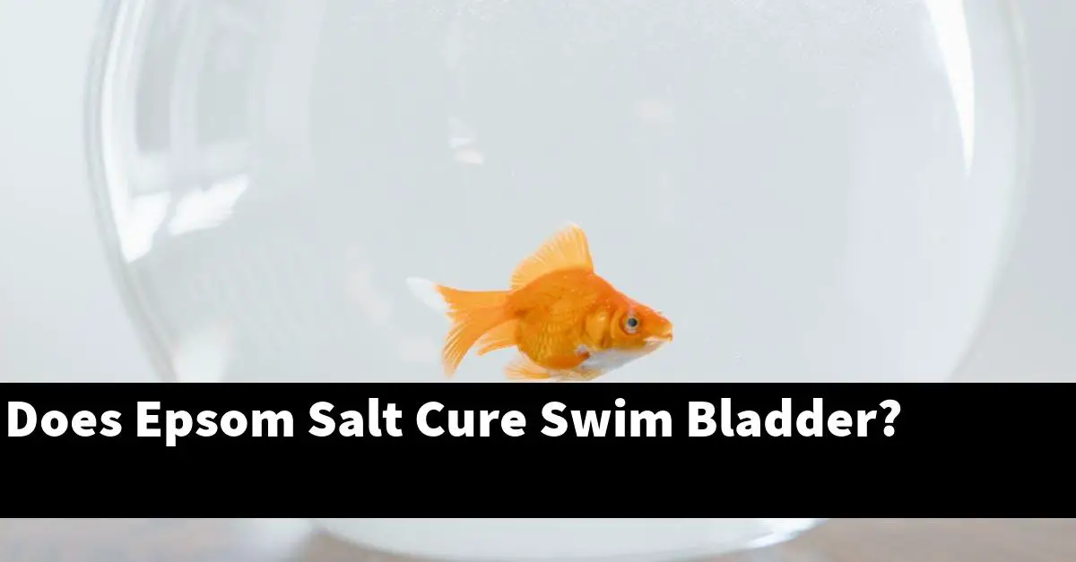 Does Epsom Salt Cure Swim Bladder?