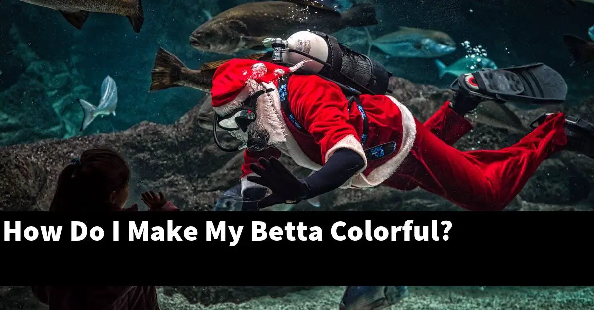 How Do I Make My Betta Colorful?