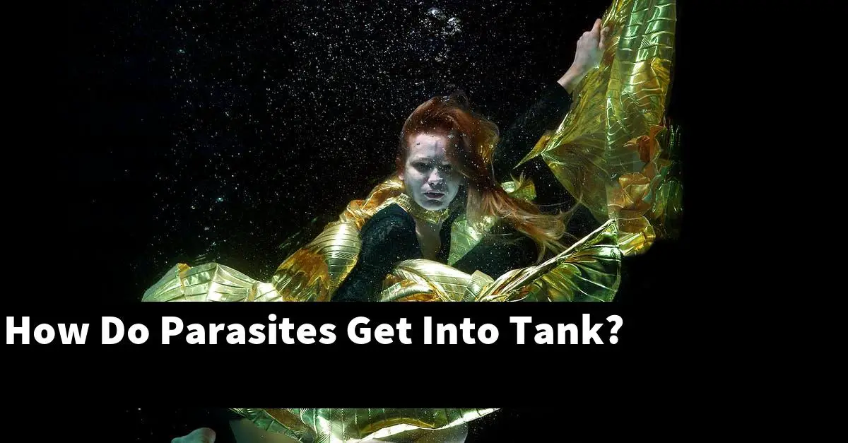How Do Parasites Get Into Tank?