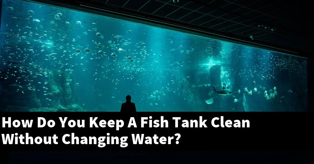 How Do You Keep A Fish Tank Clean Without Changing Water?
