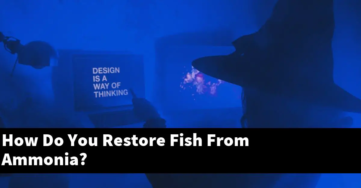 How Do You Restore Fish From Ammonia?