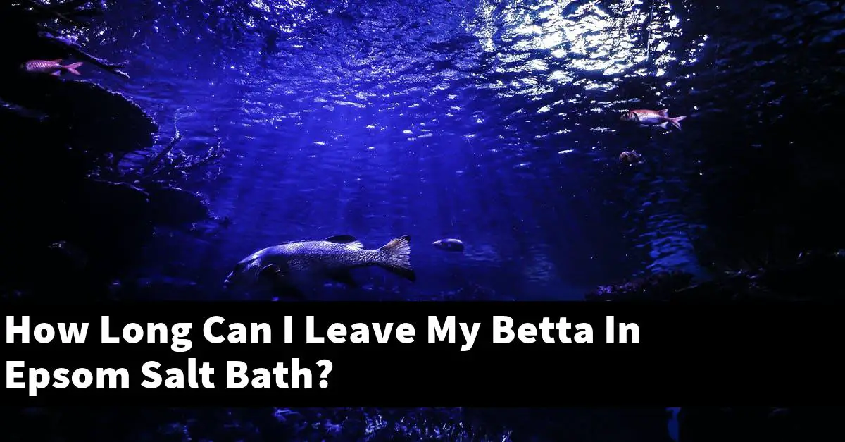 How Long Can I Leave My Betta In Epsom Salt Bath?