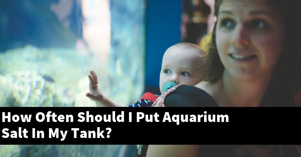 How Often Should I Put Aquarium Salt In My Tank?