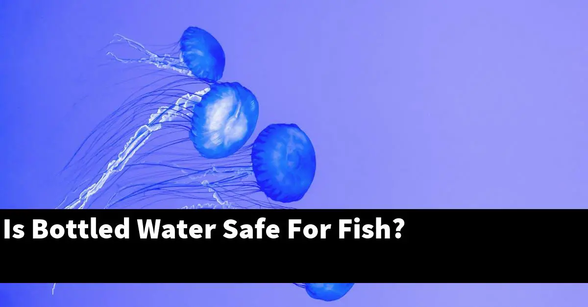 Is Bottled Water Safe For Fish?