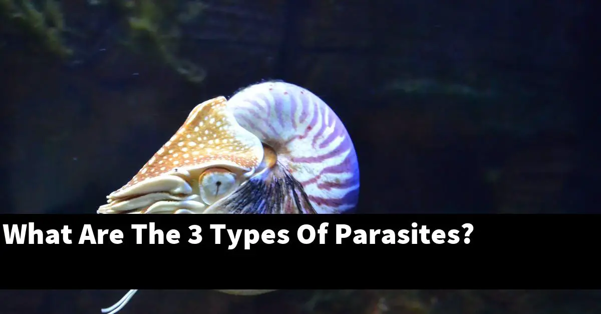 What Are The 3 Types Of Parasites?