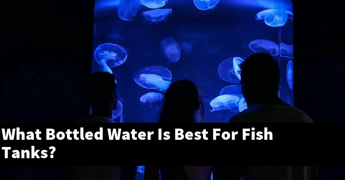What Bottled Water Is Best For Fish Tanks?