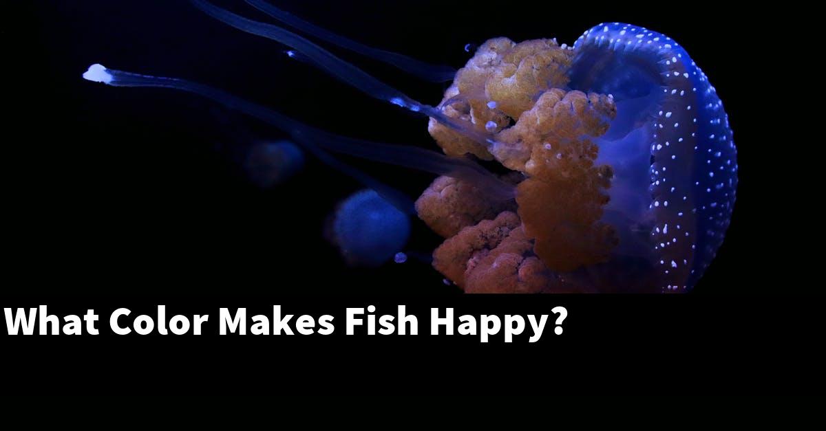 What Color Makes Fish Happy?