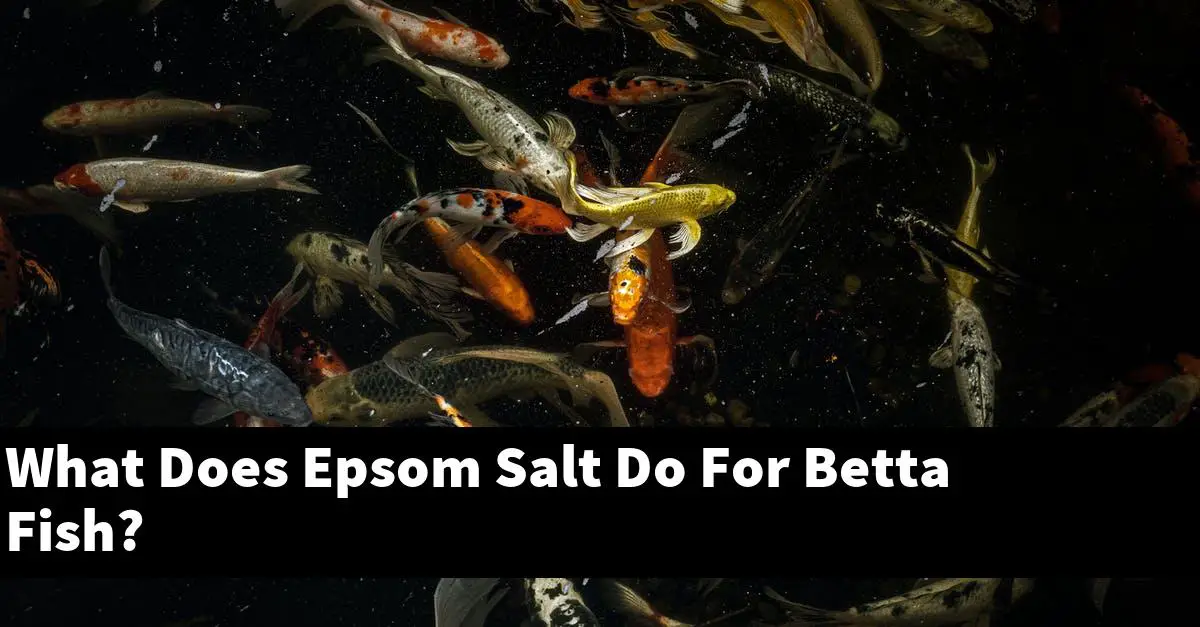 What Does Epsom Salt Do For Betta Fish?