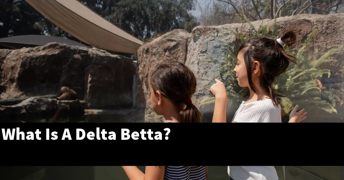 What Is A Delta Betta?