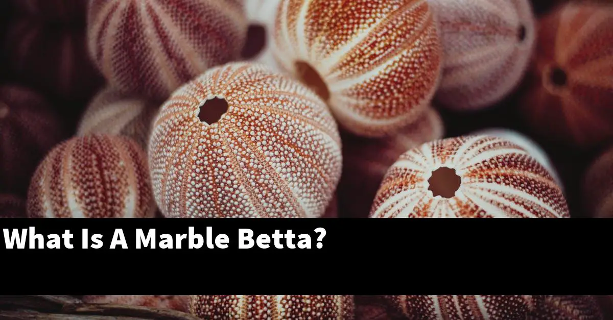 What Is A Marble Betta?