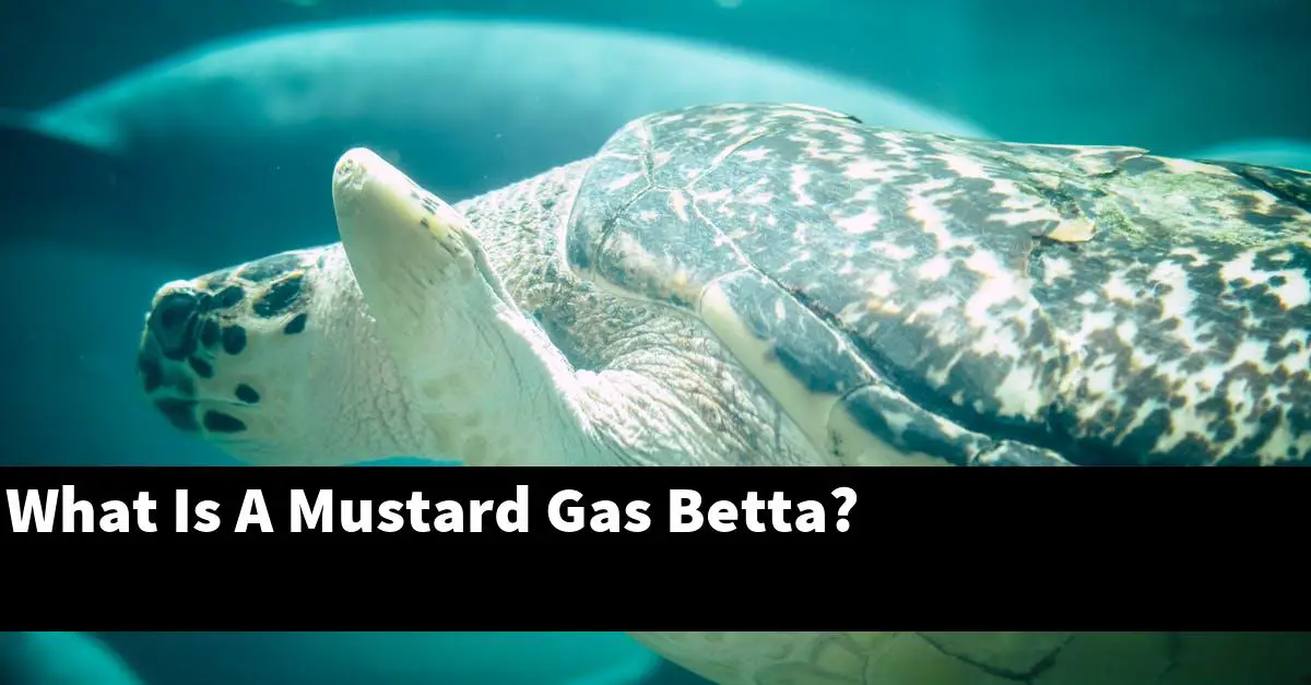 What Is A Mustard Gas Betta?